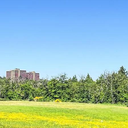 Rheinblick - A1208 By Interhome Apartment *